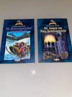 Taschenbücher „Burg Schreckstein“ 2 Stück Nordrhein-Westfalen - Dinslaken Vorschau