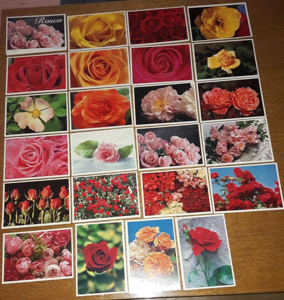 Klappkarten Postkarten Grußkarten Blumen Rosen Pflanzen Karten in Rangsdorf