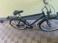 Pegasus Fahrrad Baden-Württemberg - Dietenheim Vorschau