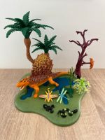 Playmobil Dinos Dinosaurier Set Dimetrodon 5235 Nordrhein-Westfalen - Niederkassel Vorschau