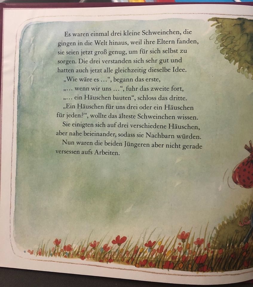 Kinderbuch Die drei kleinen Schweinchen in Mainz