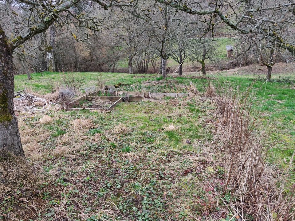 Stückle Gartengrundstück Freizeitgrundstück Grundstück in Metzingen