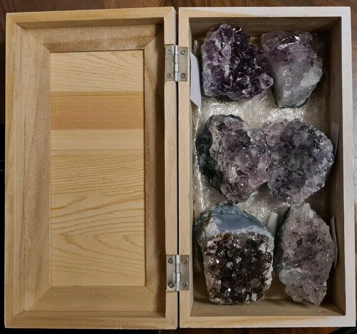 Amethyst Sammlung mit 6 Edelstein Drusen im Holzkästchen in Dresden