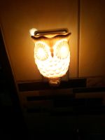 Scentsy Steckdosenlampe Nordrhein-Westfalen - Paderborn Vorschau