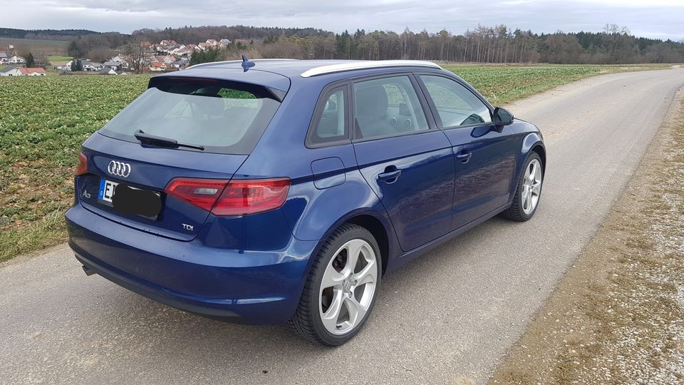 Audi A3 1.6TDI in Pförring