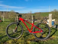 Trek Roscoe 6 2019 27,5 in Größe M Rheinland-Pfalz - Bescheid bei Hermeskeil Vorschau