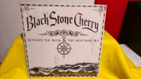 LP '2011' BLACK STONE CHERRY+bonus Kreis Pinneberg - Pinneberg Vorschau