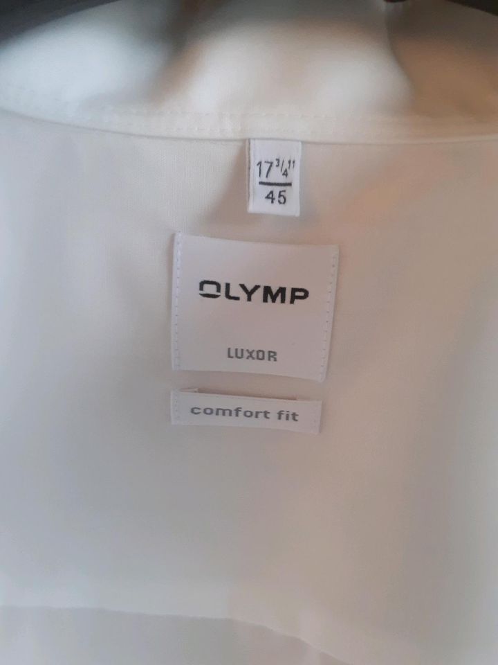 Creme Hochzeitshemd für Fliege - Olymp comfort fit Gr.45 in Erftstadt