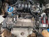 Motor Fiat Punto 199 1.2 169A4.000 Ford Ka 2 Ru8 nur 79Tkm TOP! Nordrhein-Westfalen - Kerpen Vorschau