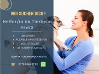 Helfer/in im Tierheim gesucht (m/w/d) Friedrichshain-Kreuzberg - Kreuzberg Vorschau