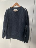 Hollister Pullover/Sweater Brandenburg - Cottbus Vorschau