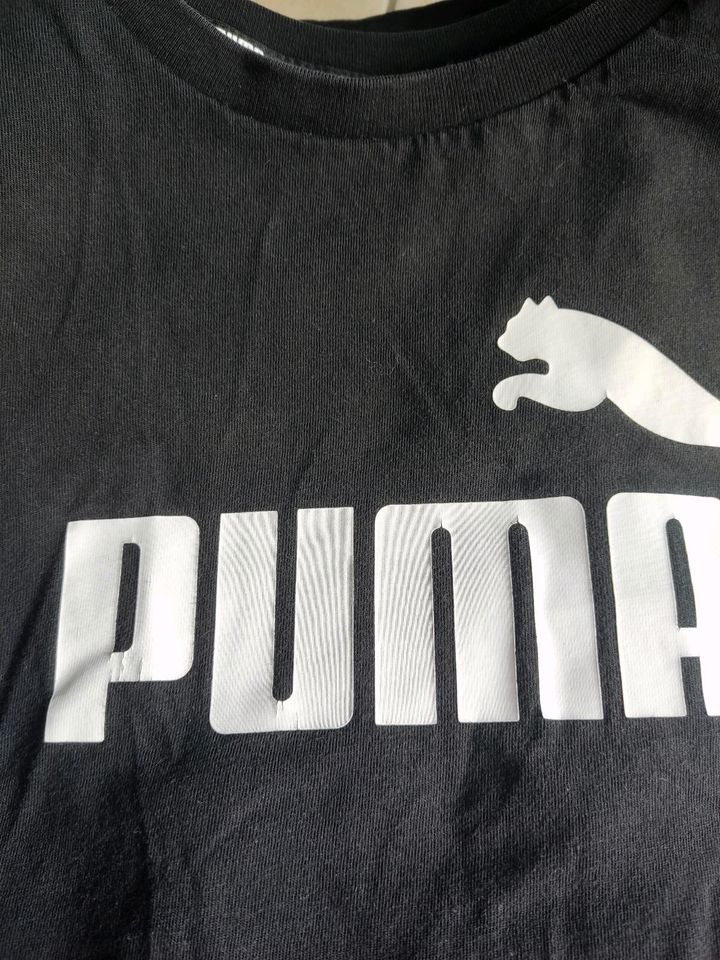 6 T-Shirts Puma Adidas Tom Tailor Größe m/s in Rheinfelden (Baden)