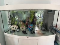 Aquarium Juwel 260L mit Unterschrank in Weiß! Nordrhein-Westfalen - Frechen Vorschau