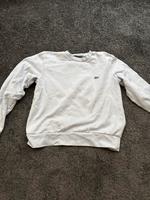 Lacoste Pullover Brandenburg - Potsdam Vorschau