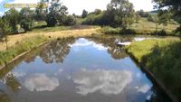 1300qm Fischteich Fischweiher zu verpachten mitten in Hof Bayern Bayern - Hof (Saale) Vorschau