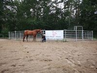 Roundpen Aktion 15 m DM empfohlen von Katja Schnabel Panels Westerwaldkreis - Elbingen Westerwald Vorschau