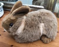 XXL Hase Kaninchen Rammler Plüschtier neuwertig 46 cm Wiesbaden - Mainz-Kastel Vorschau