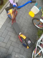 2 Stück Kinder Roller Scooter Anna Elsa Tretroller Hamburg-Mitte - Hamburg Horn Vorschau