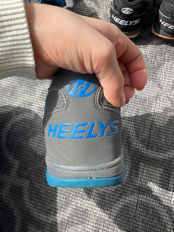 Heelys Grau-Blau Größe 38 in Kelkheim