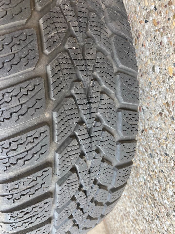 Dunlop Winterreifen auf Stahlfelgen 185/55R15 - 2016, 5mm Profil in Gronau (Leine)