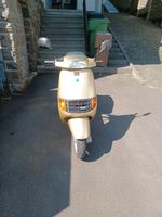 Piaggio quartz Nordrhein-Westfalen - Wiehl Vorschau