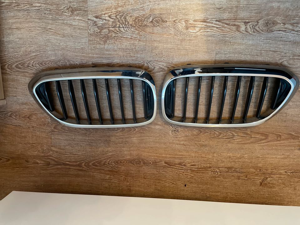 Original Nieren Frontgrill bmw 530 kühlergrill in Dortmund - Berghofen, Ersatz- & Reparaturteile