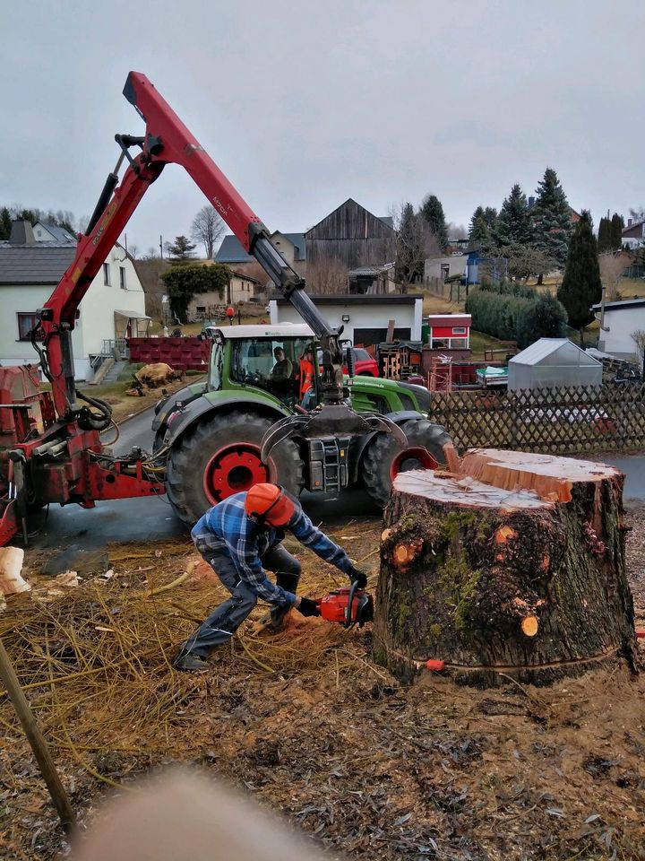 Holzeinschlag Holzrückung Baumfällungen Baumpflege Stubbenfräsen in Zwoenitz