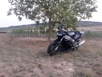 CB1100 SC42 X11 Rheinland-Pfalz - Weiler bei Bingen Vorschau