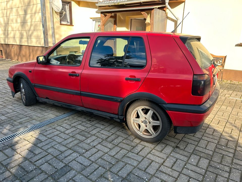 Golf 3 Color Concept 1.9 TDI 1Z in Beetzendorf