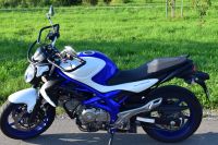 Suzuki Gladius 650 München - Pasing-Obermenzing Vorschau