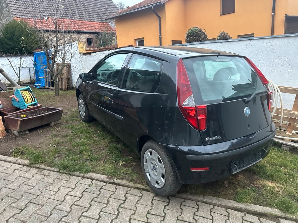 Fiat Punto in Laudenbach