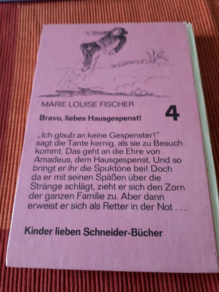 Schneider Bücher in Neulingen