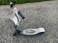 Razor E300, Elektro Scooter Hessen - Fürth Vorschau