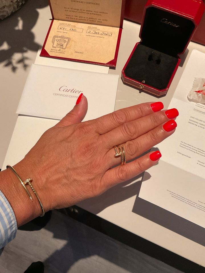 Cartier Juste un Clou Ring ❤️Diamanten Gr.56 in Hamburg