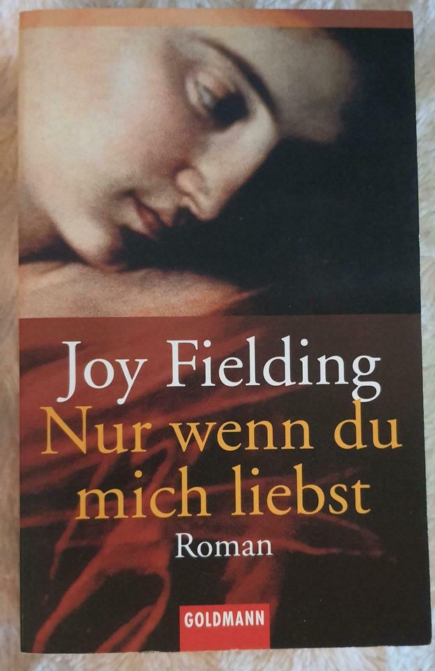 15 Bücher von Joy Fielding in Clausthal-Zellerfeld