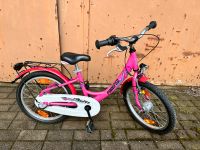 Pinniped Summer 18" Kinderfahrrad Mädchen Fahrrad Rad Pink MTB Sachsen - Wilkau-Haßlau Vorschau