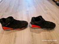 Nike Jordan Gr. 40 Leder gebraucht Bielefeld - Heepen Vorschau