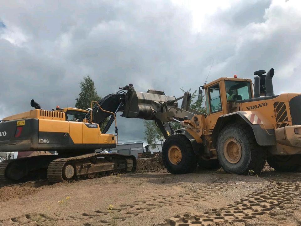 Nutzfahrzeuge Reparatur von DPF, AGR und AdBlue Systemen. in Laatzen