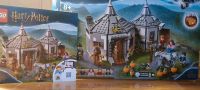 Harry Potter Lego-Set 75947 Hagrids Hütte Seidenschnabels Rettung Baden-Württemberg - Ulm Vorschau