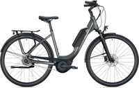 FALTER E 9.0 Rücktritt 26"&28" 500WH Bosch E-BIKE Nabenschaltung Sachsen - Pirna Vorschau