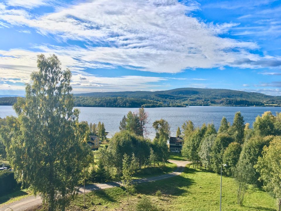 Einfamilienhaus an der schwedischen hohen Küste in Bad Rappenau