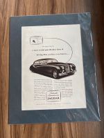 Jaguar Mark Grafik neu. Sehr schön.  44cm groß Bayern - Pfaffenhofen a.d. Ilm Vorschau