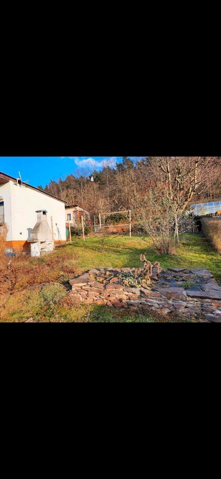 Garten  mit Bungalow in Wünschendorf