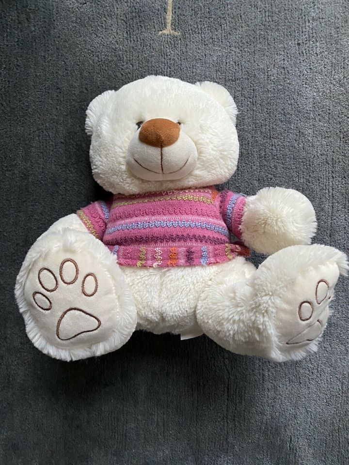 Teddy mit Pulli in Hasloh