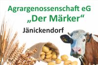 Tierwirt (m/w/d) Fachbereich Rindermast und Mutterkuhhaltung Brandenburg - Nuthe-Urstromtal Vorschau