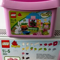 Duplo Box Mädchen Ostern Hasen 4623 Hannover - Ricklingen Vorschau