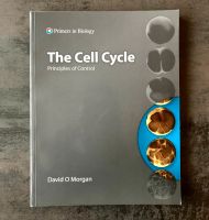 The Cell Cycle David O Morgan Zellzyklus Leipzig - Plagwitz Vorschau