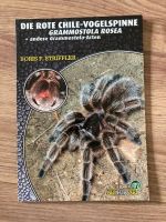 Die rote Chile-Vogelspinne, grammastola rosea Boris F. Striffler Niedersachsen - Weener Vorschau