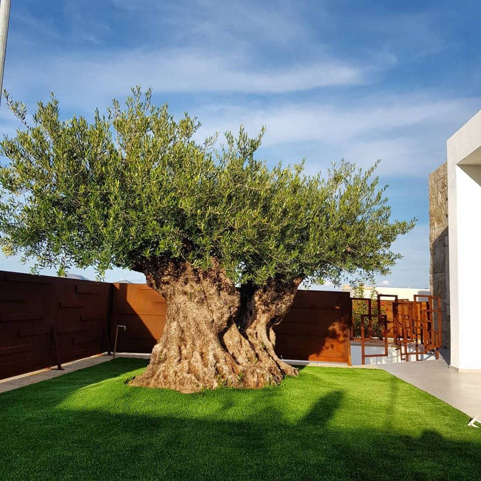 SARDINIEN - Moderne und luxuriöse Villa mit privatem Pool (OLBIA in Abtsgmünd