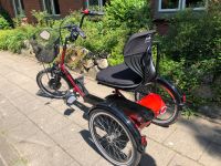 Tolles E-Bike Dreirad Disco 20 für Erwachsene von PF mobility Nordfriesland - Friedrichstadt Vorschau